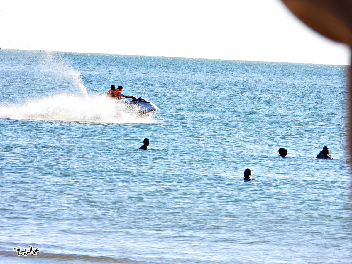 أحمد المعافري tweet media