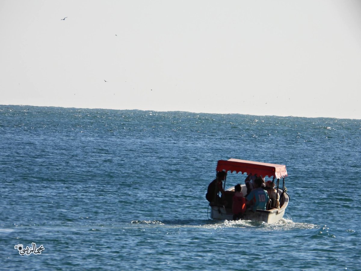 أحمد المعافري tweet media