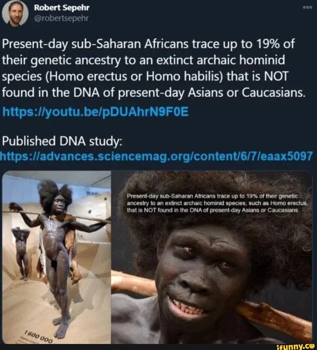 Open Carry tweet media