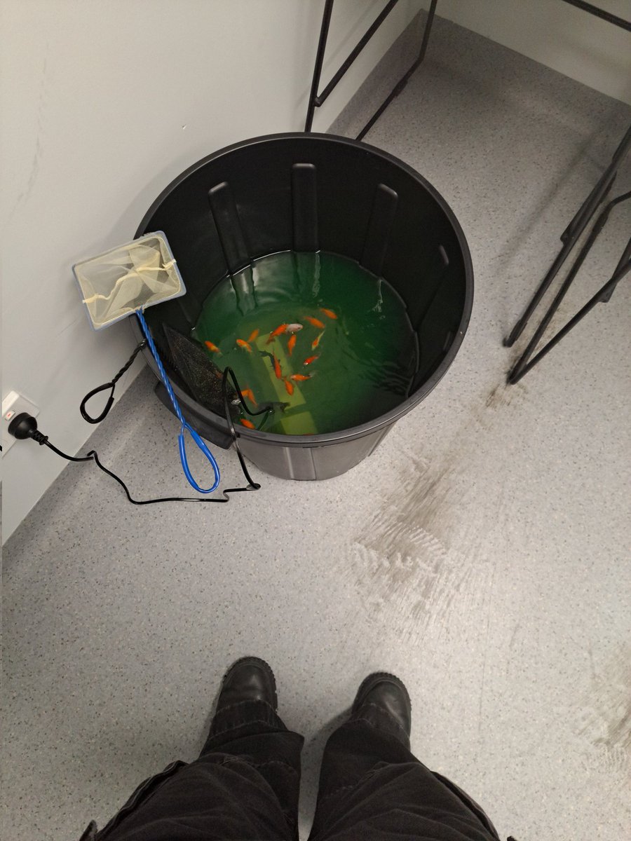 PERVERTBALLMASTER3000 tweet media