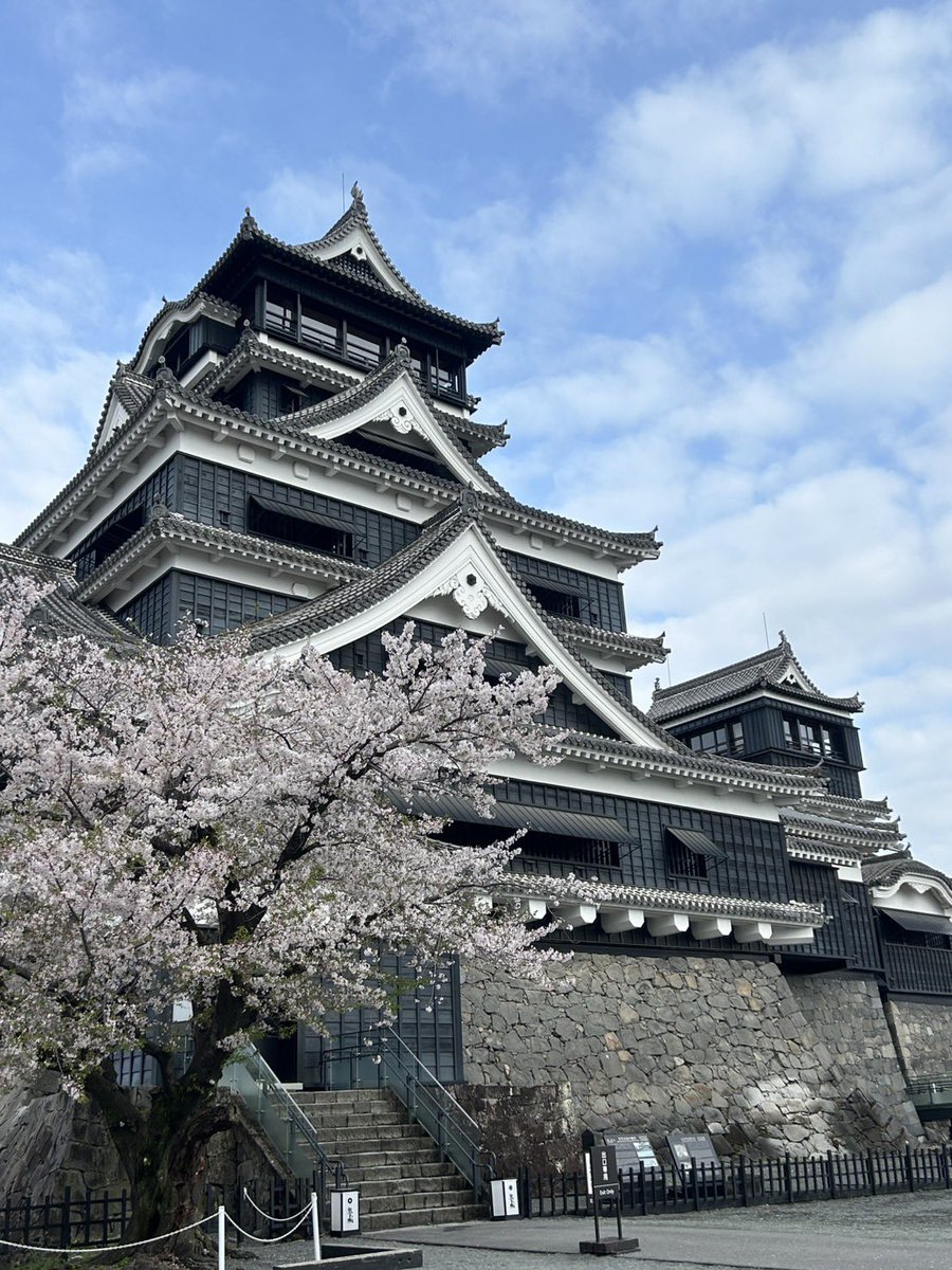 熊本城【公式】 tweet media