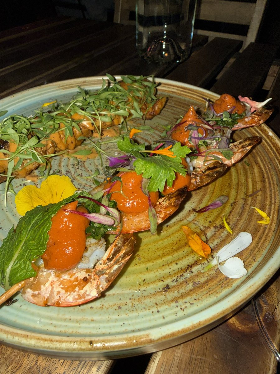 Oliver Creed Optican tweet media