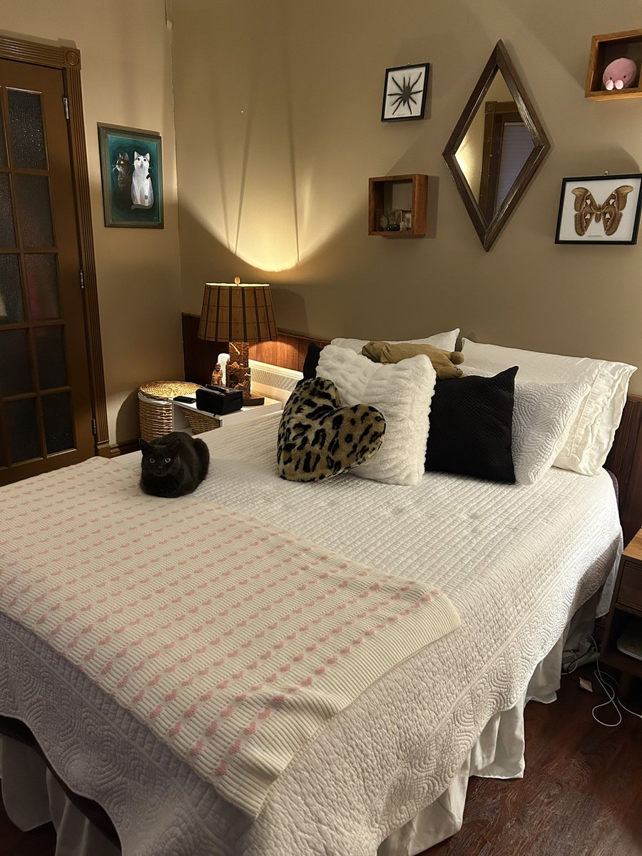 rob 🍉 tweet media