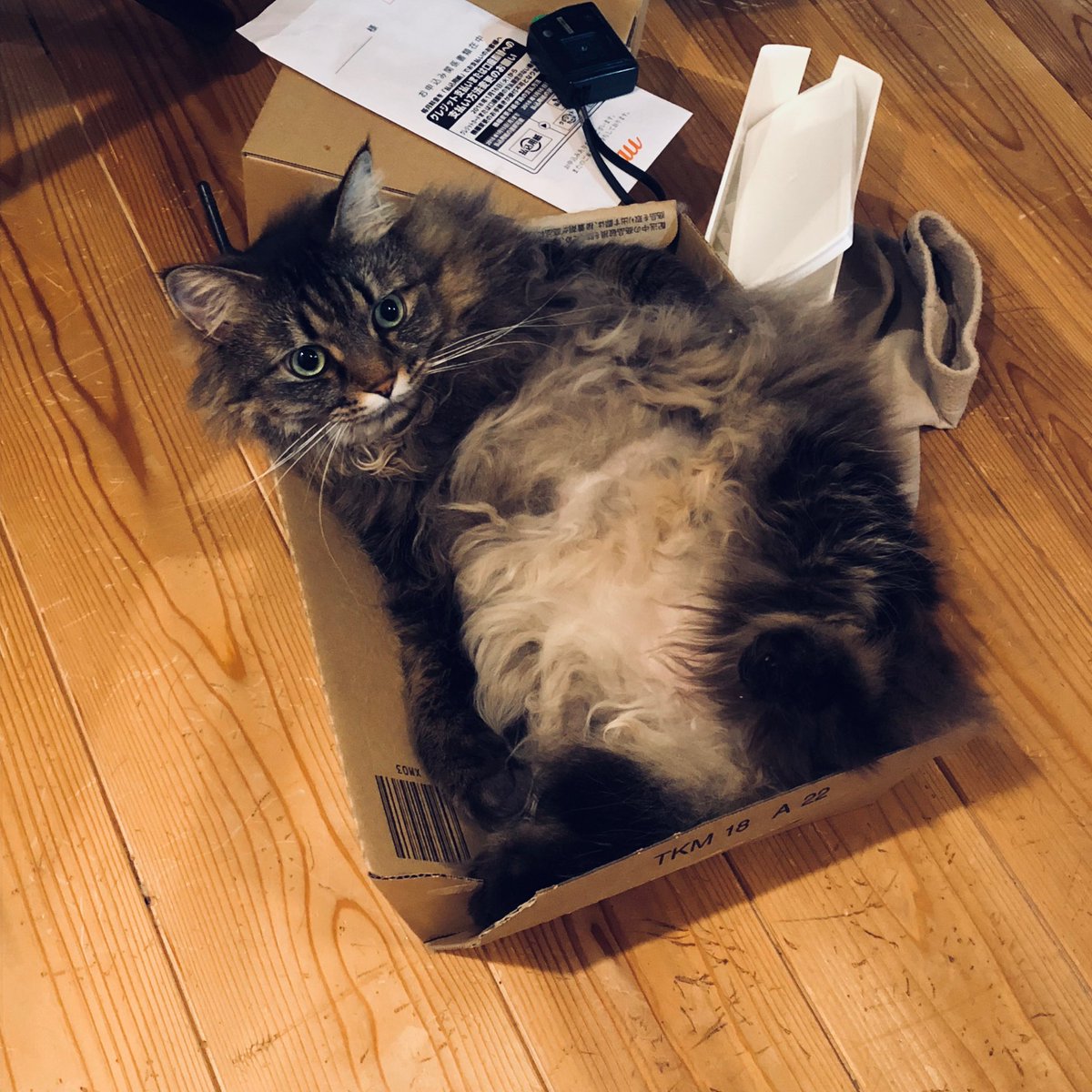 ナオ🔴🛌🌃🌹 tweet media