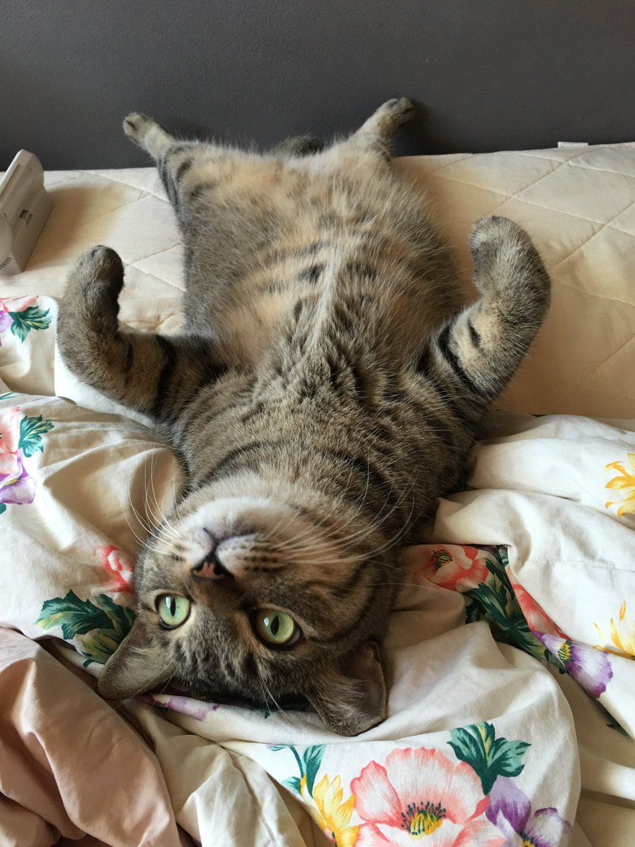 ナオ🔴🛌🌃🌹 tweet media