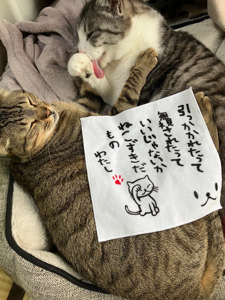 ナオ🔴🛌🌃🌹 tweet media