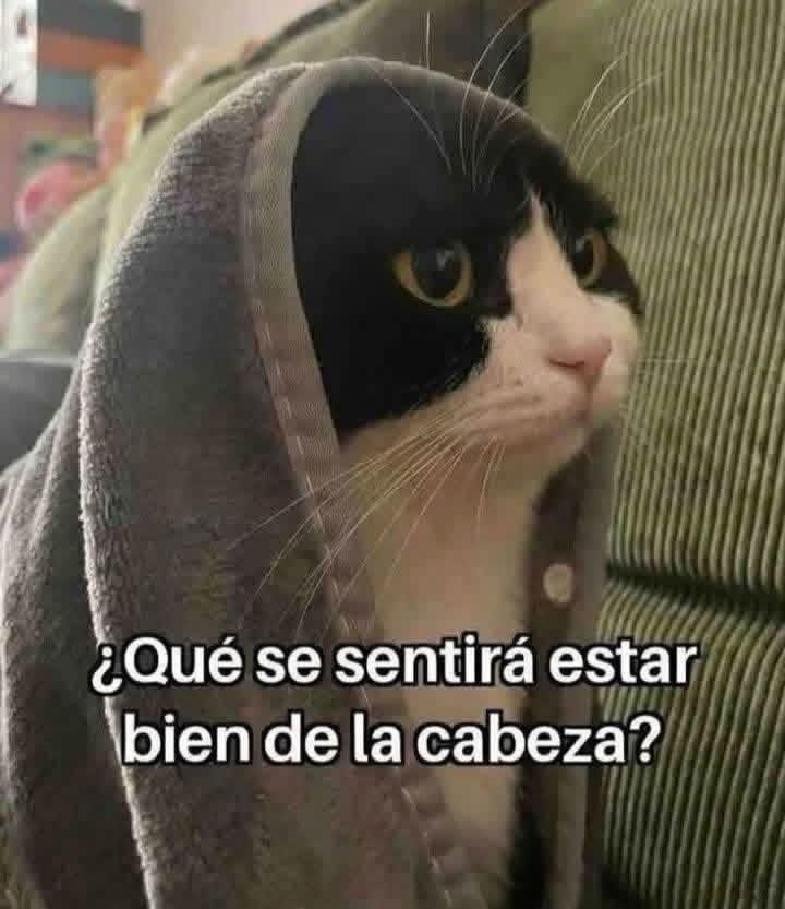 Bruji_Slytherin's tweet photo. FIJOS (♉️, ♌️, ♏️, ♒️): https://t.co/BspvNDwa6l