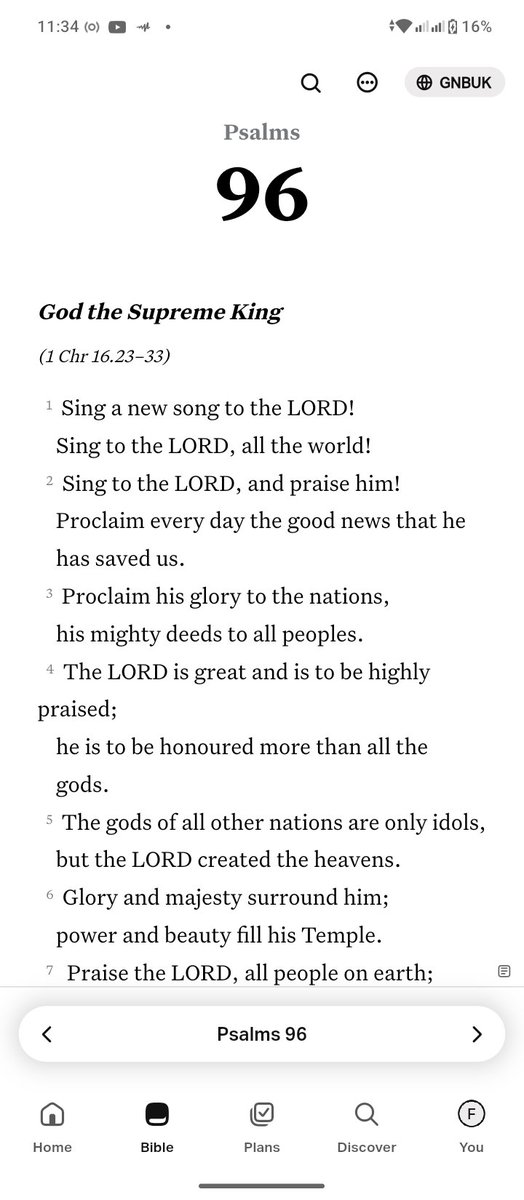 Alpha Queen tweet media