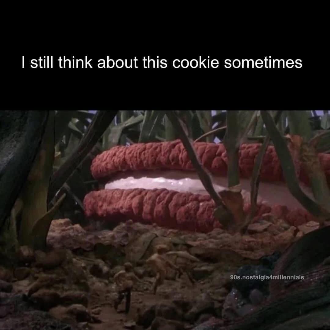 ✨ѕωєєт ℓ є є ƒ✨ tweet media