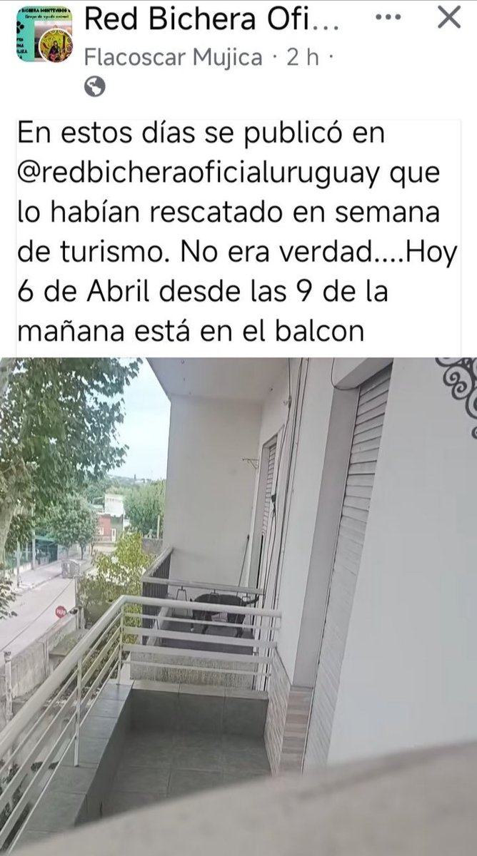 Mariana Toja ❤️💙🤍 / 💛🖤 tweet media