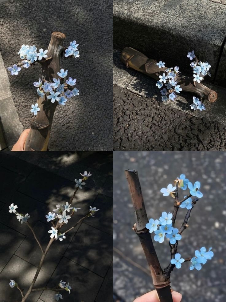 𝑝𝑢𝑟𝑒 tweet media