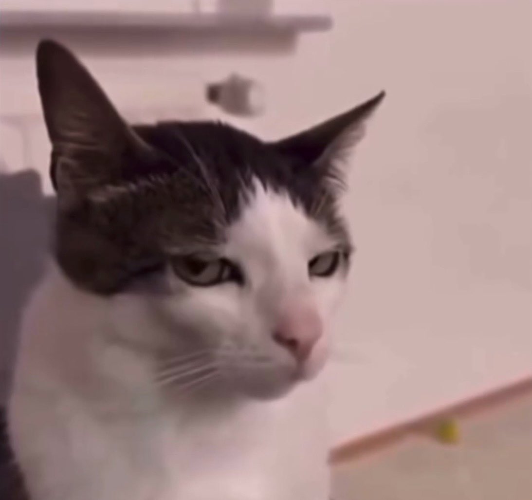 افين القحطاني 🌙💸 tweet media