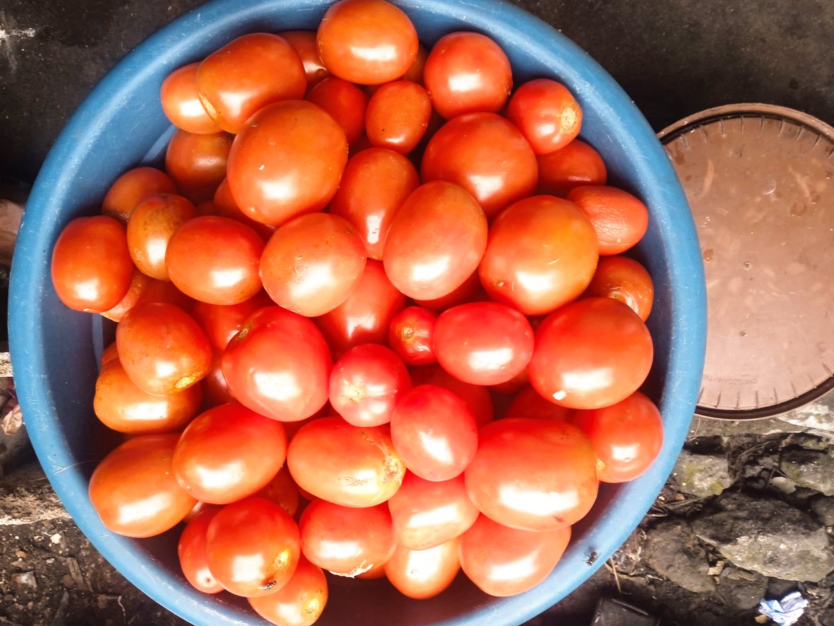 AghenFrank 🇨🇲 tweet media