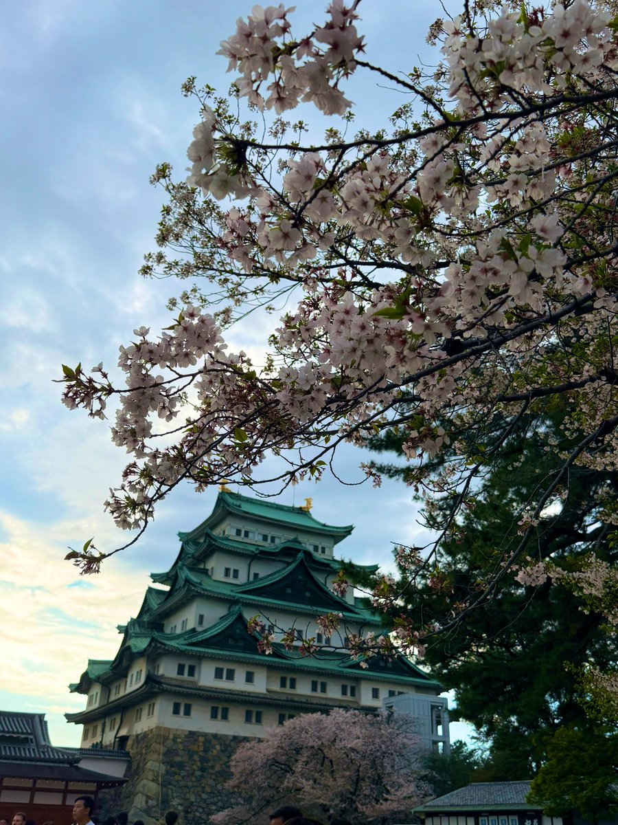 あかりんご🍎 tweet media