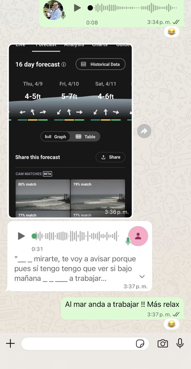 Sebastian Gallardo Bruni tweet media