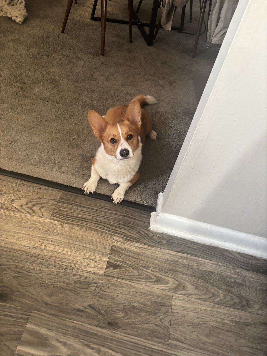 _____julesss's tweet photo. Omg????? #sploot https://t.co/J1maJf69Zz