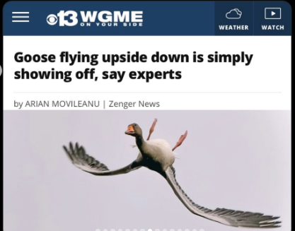 Jude ⚜️Geaux Tigers⚜️Trahan tweet media