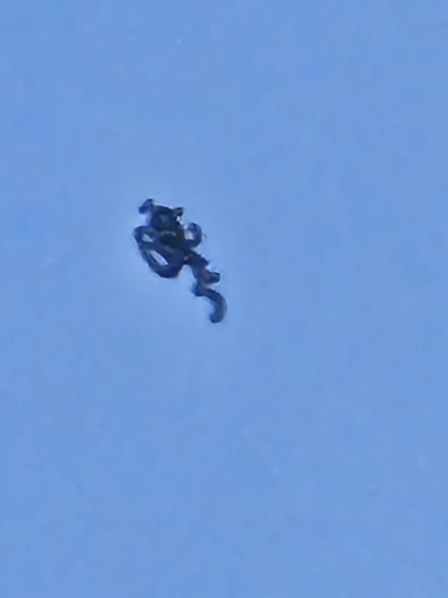 happymamma36's tweet image. Hi can you help me.understand what it is that was flying over our heads then just shot up into the atmosphere. No engine, not a balloon or a kite #uk #whatisit #ufo