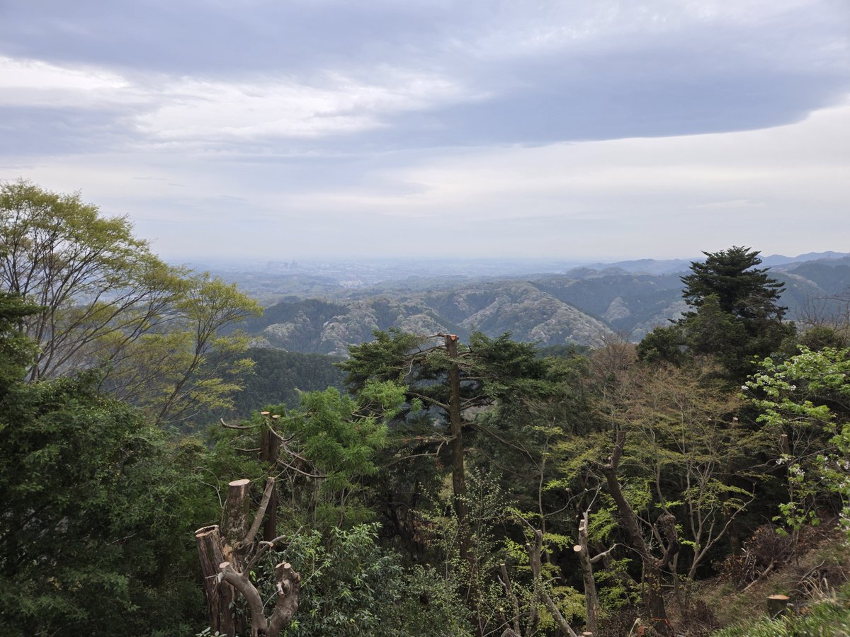 Takao_Tozan's tweet image. おはようございます。 
午前９時現在、高尾山麓、ケーブルカー清滝駅、高尾山 駅の天気は「晴」、気温は「13度」です。 
ケーブルカー、リフトともに通常通り運行しています。 #高尾山 #ケーブルカー #リフト