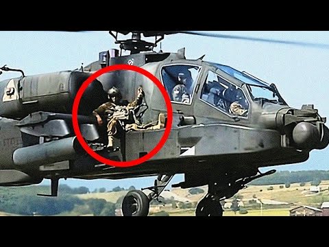 Maulington. Midlife Crisis Vtuber🇺🇸🦁🔪 tweet media