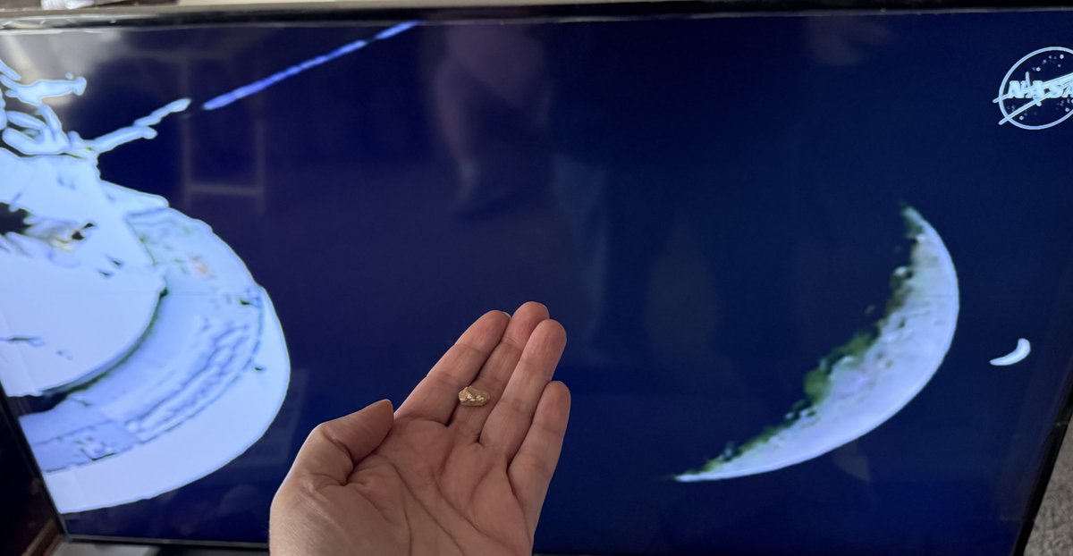RoyalsCollector's tweet photo. Took a picture of me taking a picture of me holding a piece of the moon while astronauts circling the moon taking a picture of all of us. 
That's Orion Integrity Moon &amp; Earth in picture &amp; me holding Lunar Meteorite. 
Can you see me on that pale blue crescent taking the picture? https://t.co/v8Vrqf57ba