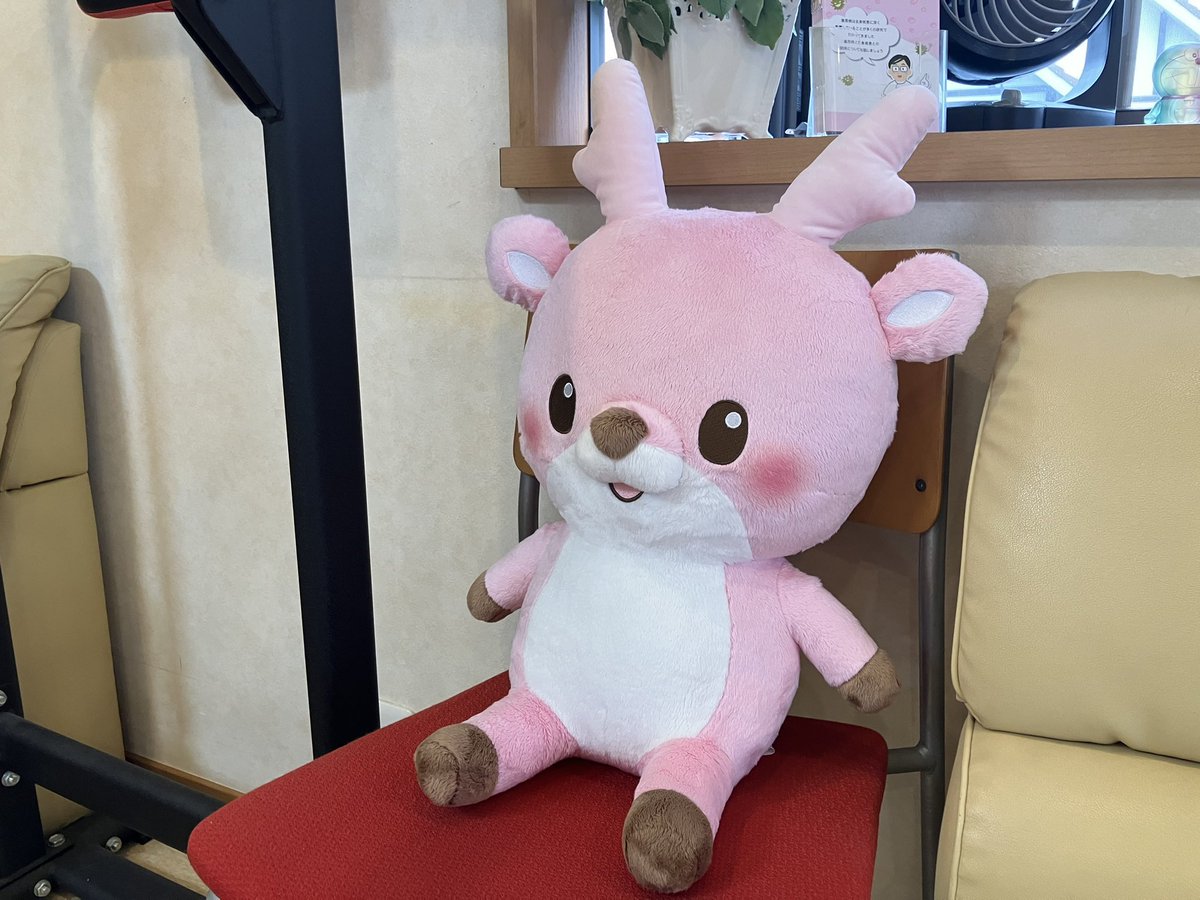 たぬき tweet media