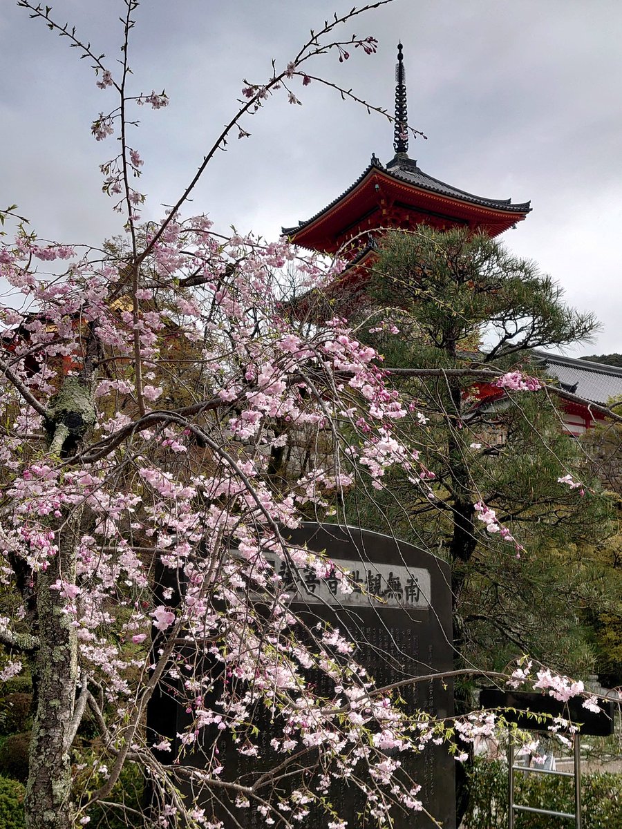 のりたまご tweet media