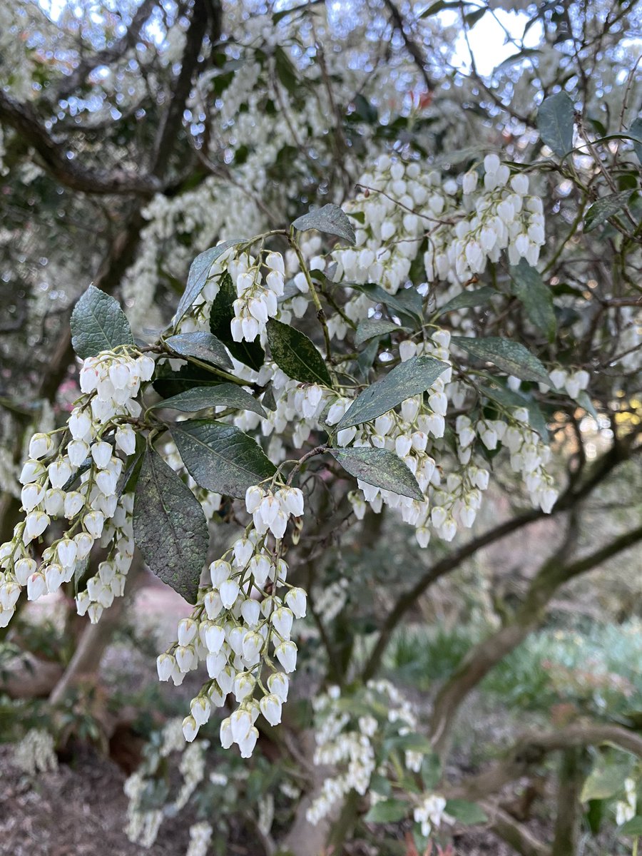 V4L3NTINOO tweet media