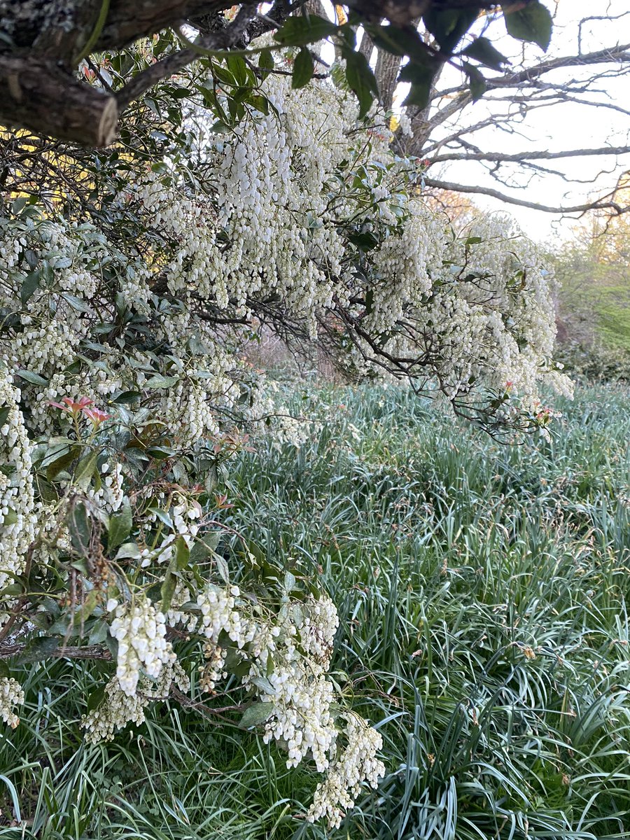 V4L3NTINOO tweet media