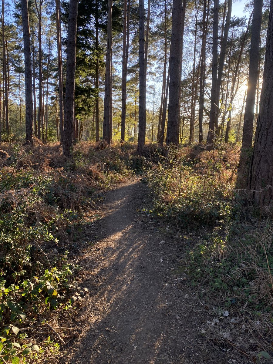 V4L3NTINOO tweet media