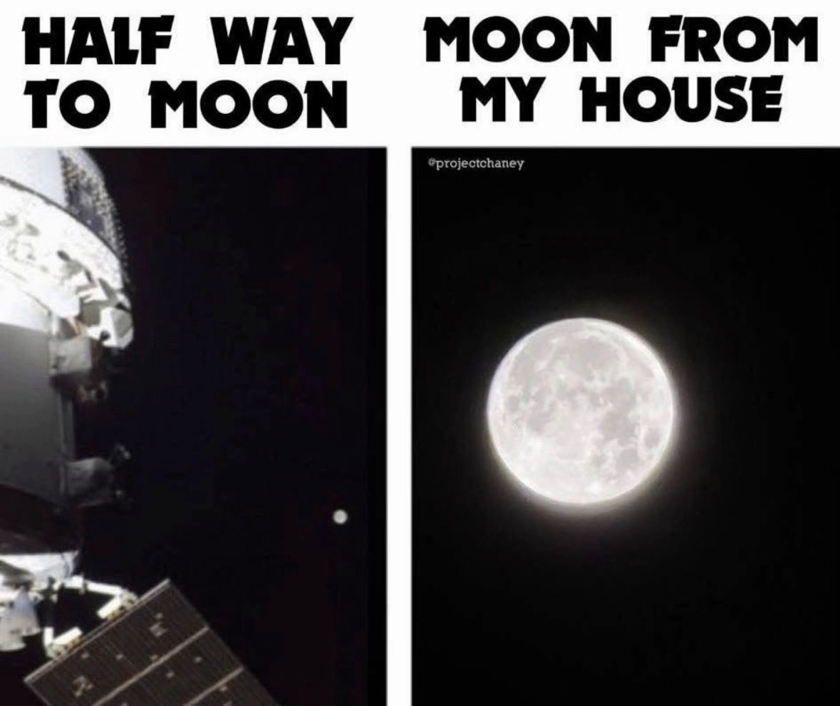 Freed Ninja tweet media