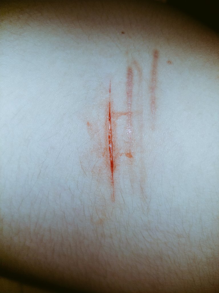 warajellyfish_'s tweet photo. Baby styro sesh cause i had the house to myself for a while *clicks heels in joy* https://t.co/oUeP0eDDfE