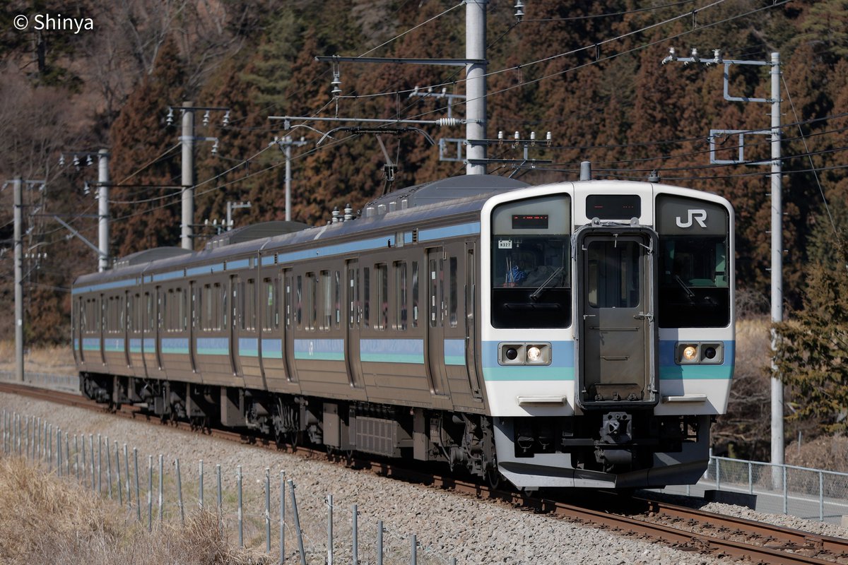 しん鉄 tweet media