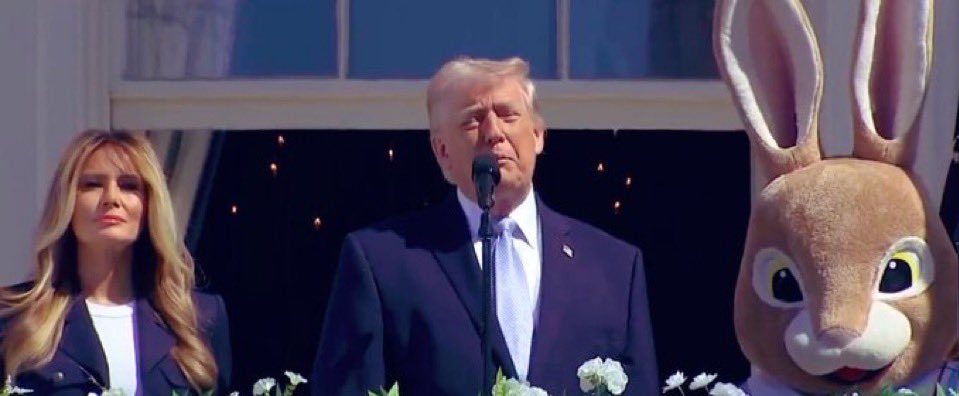 Coddled Affluent Professional tweet media