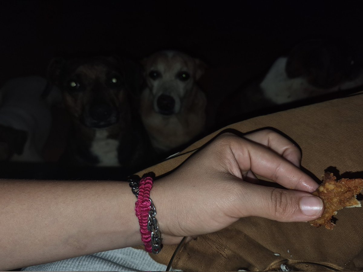 mendeszinha ×͜× tweet media