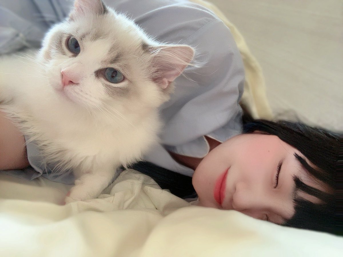 勿忘うた💎M3春シ-26ab tweet media