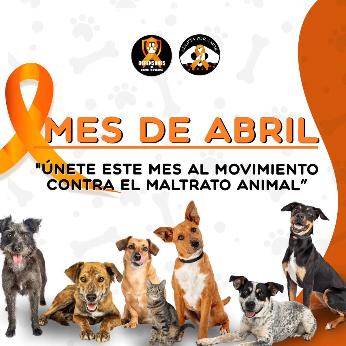 SusanSoltero's tweet photo. https://t.co/Wx5GAaW9J7