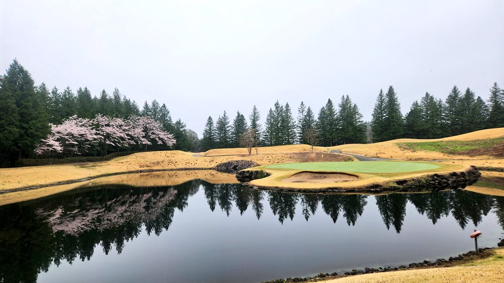 ミコ★miko★ゴルフ⛳ tweet media