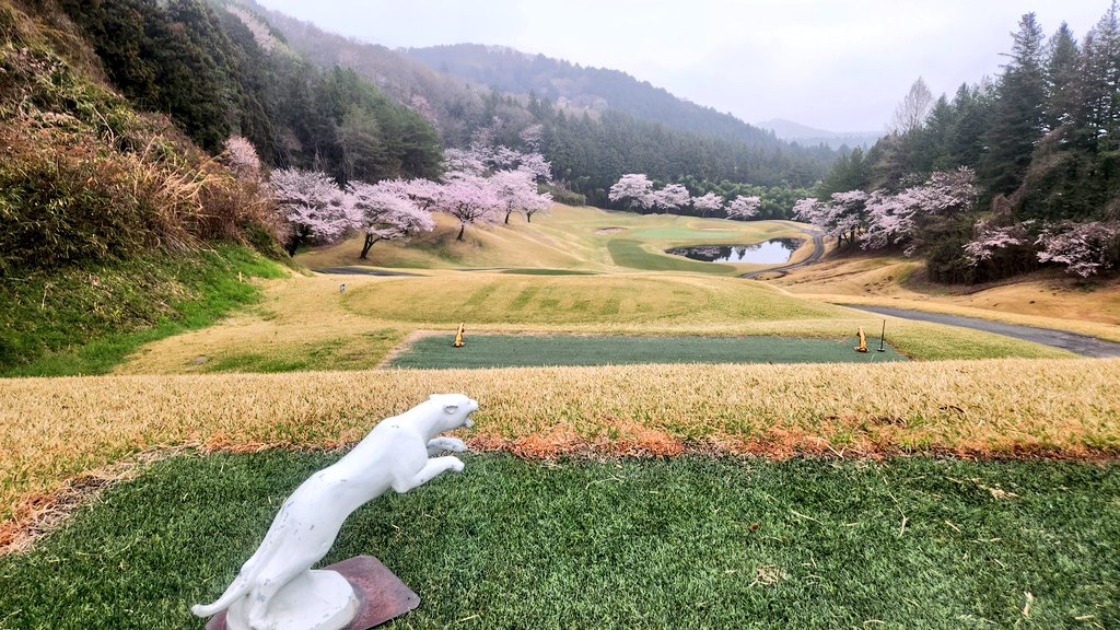 ミコ★miko★ゴルフ⛳ tweet media