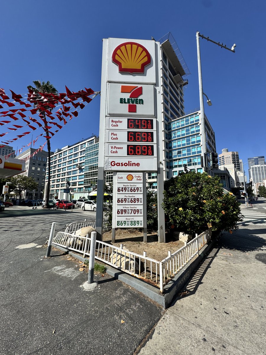 Stella X tweet media