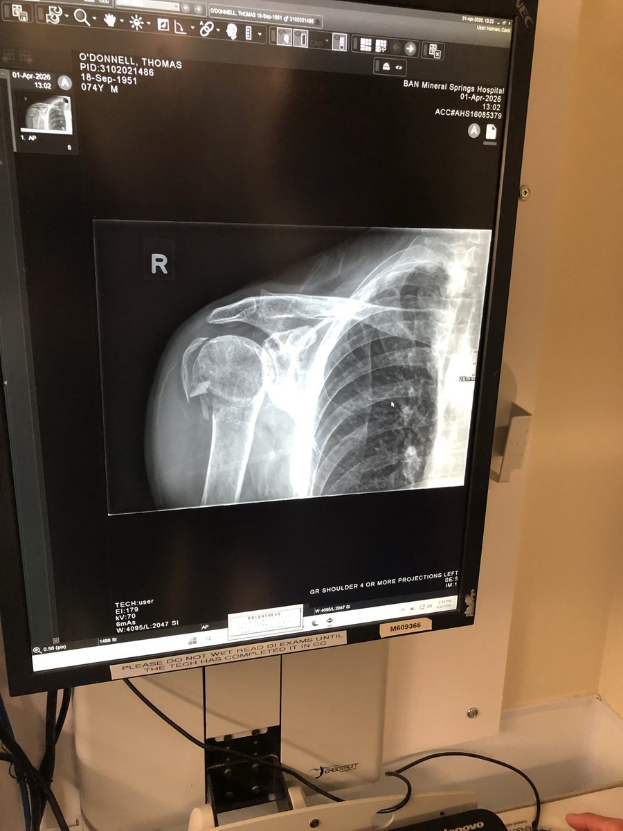 the salamander horde tweet media