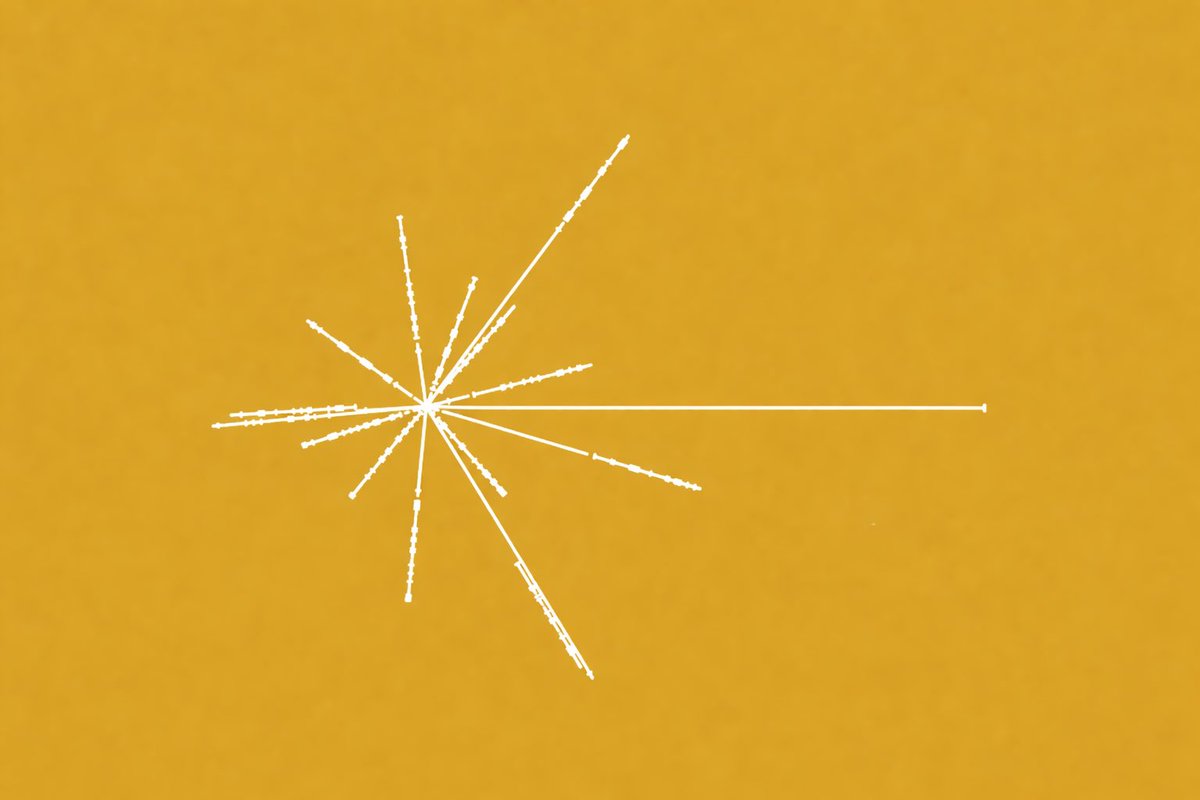 orthodoxtoad tweet media