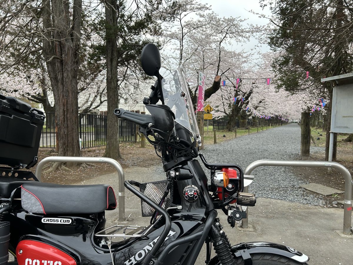 秘密基地moleと風來の森　管理人 tweet media