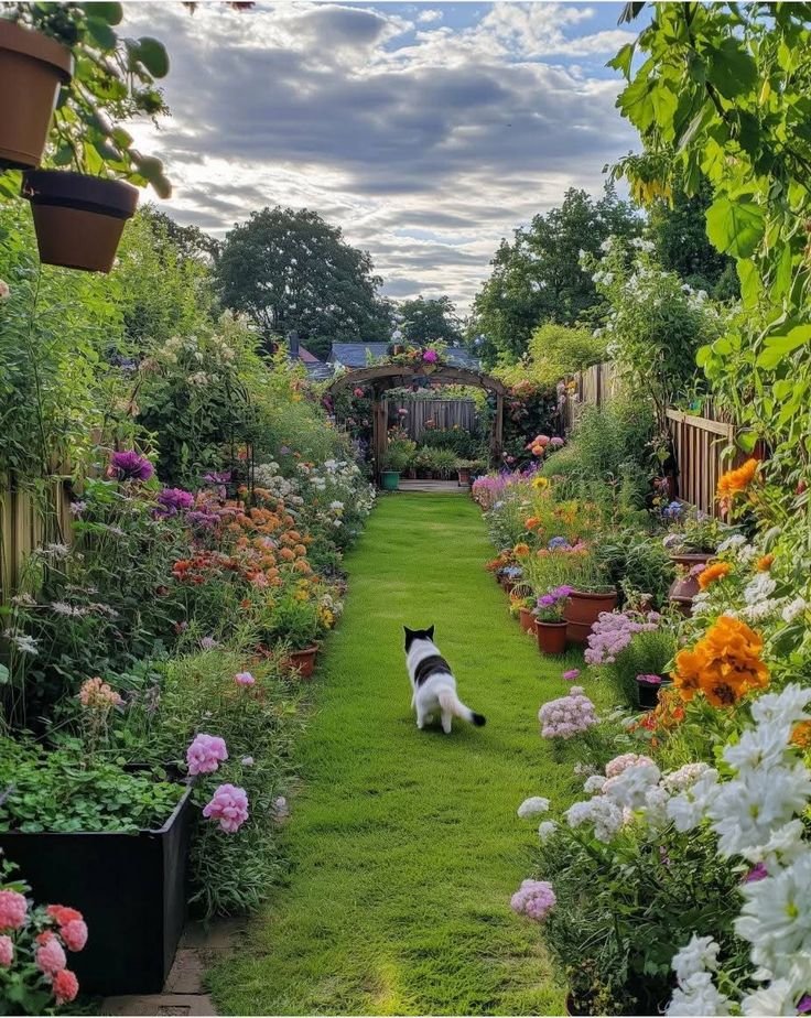 𝑒𝑙𝑦𝑟𝑎 tweet media