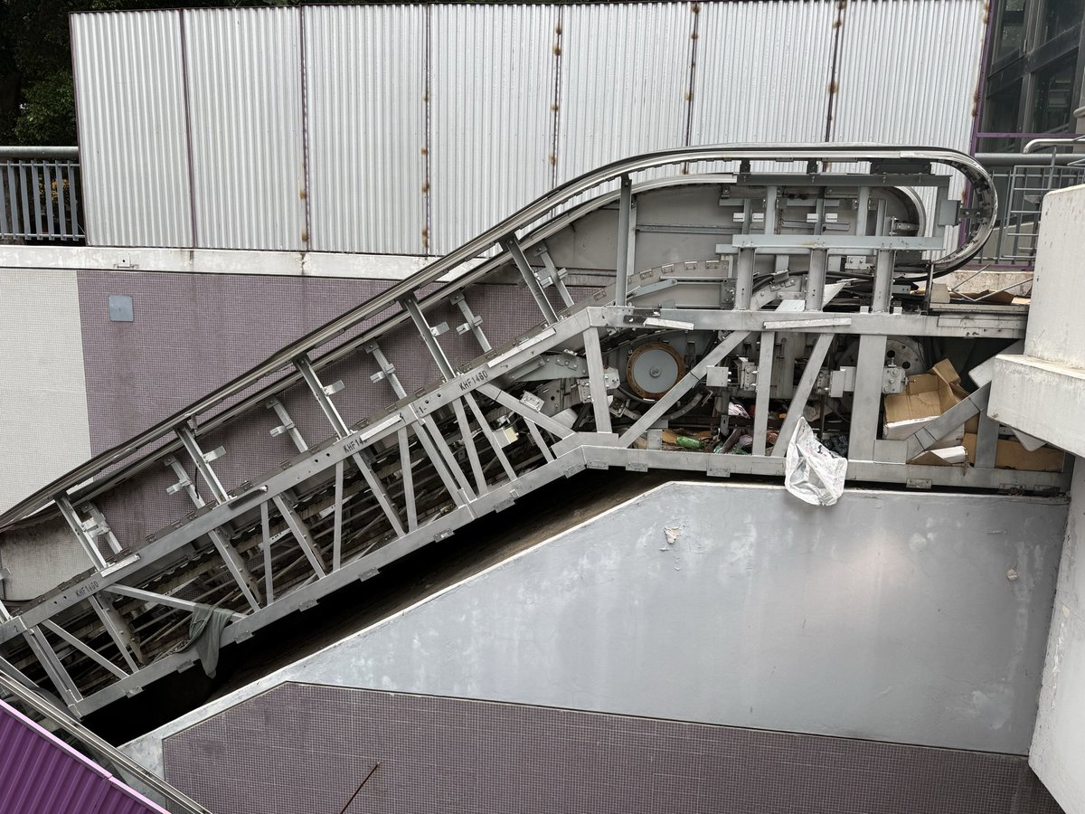 Claudita 💚 tweet media