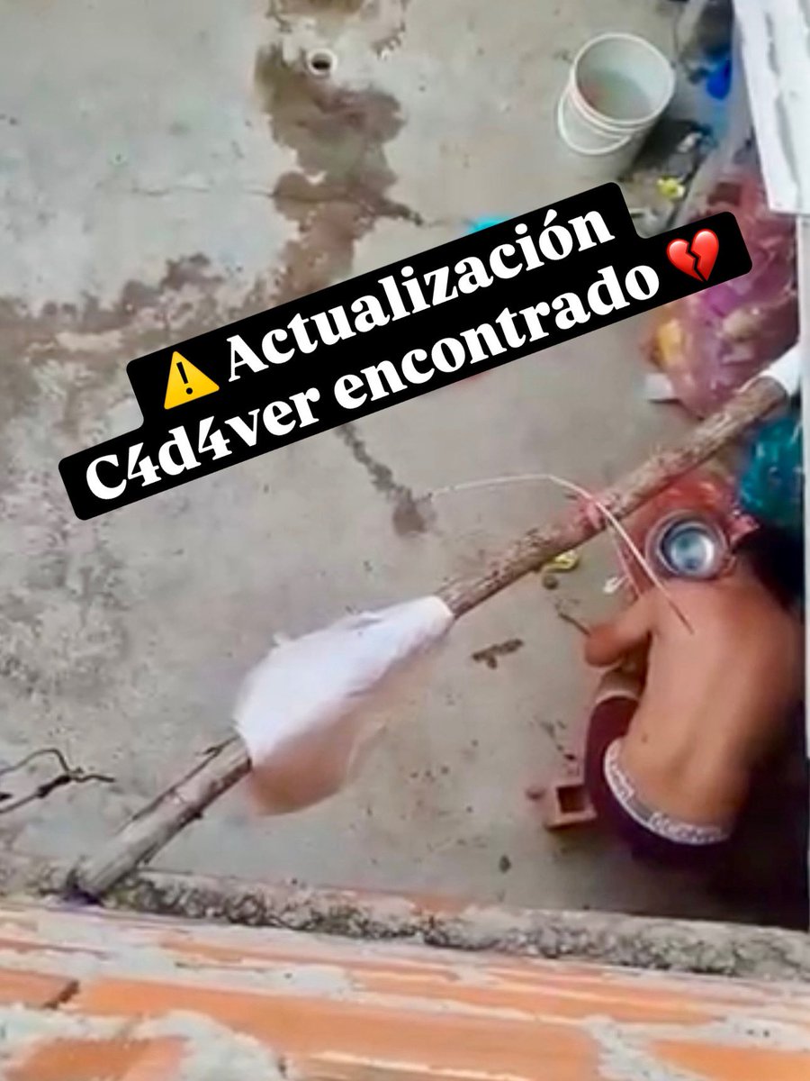 andreanimalidad's tweet photo. ⚠️🎗️💔 El cuerpo del perrito fue econtrado enterrado. Al parecer, lleva mu3rto varios días. Ya se hizo la exhumación del c4d4ver y está en poder de las autoridades. 

Ahora se iniciará proceso en @FiscaliaCol por el delito de mv3rt3 o de lesiones (si no se establece la causalidad entre la agresión y la mv3rt3). Alegato Juristas asumirá la representación de la víctima. Gracias autoridades! #LeyAngel Estaremos encima. Gracias a quienes denuncian! @AlcaldiaBGA  @PoliciaBmanga