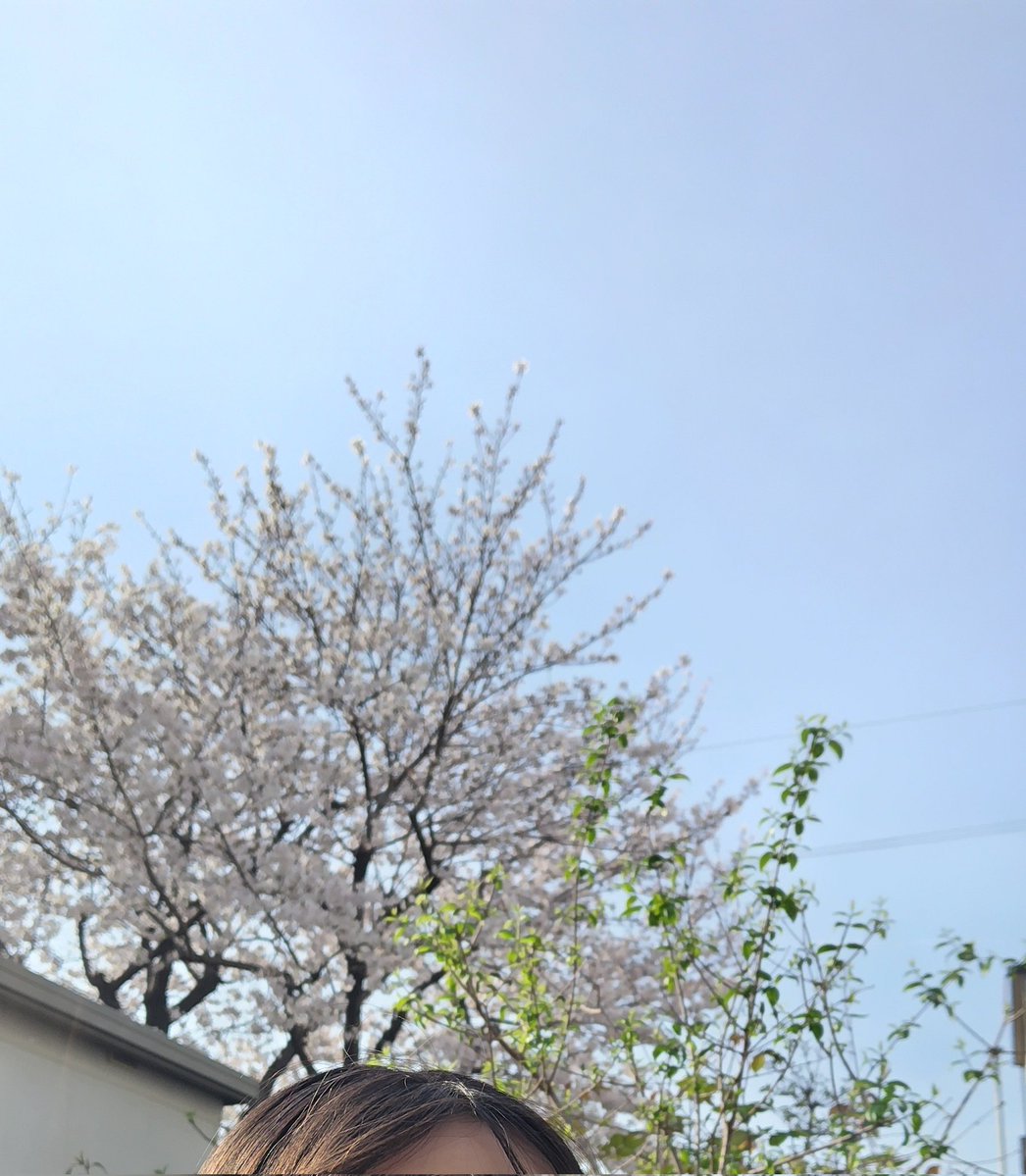 🌸たこちか🌸🐎☮️🇺🇦☮️ tweet media