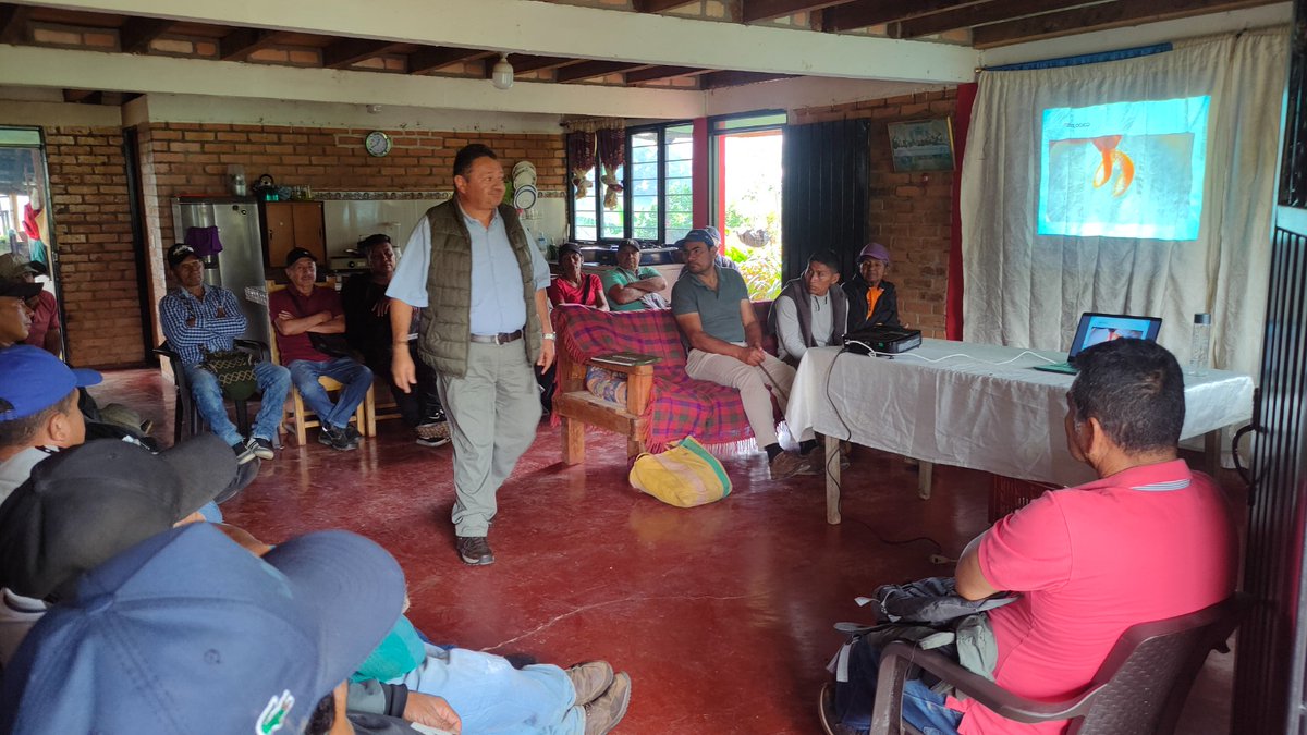 ICACOLOMBIA's tweet photo. En la vereda La Laguna, la finca Villa Belén abrió sus puertas para demostrar un modelo que cuida el bosque, protege el agua y dignifica la vida. 💚

Más de 40 campesinos, junto a entidades aliadas, recorrieron esta experiencia que inspira, basada en sistemas silvopastoriles, bioinsumos, reforestación y soberanía alimentaria.

Acompañamos este proceso como garantes de la sanidad, el bienestar animal y la inocuidad, impulsando que iniciativas como Villa Belén avancen hacia certificaciones que reconocen la productividad y la vida.

#ConDignidadCumplimos