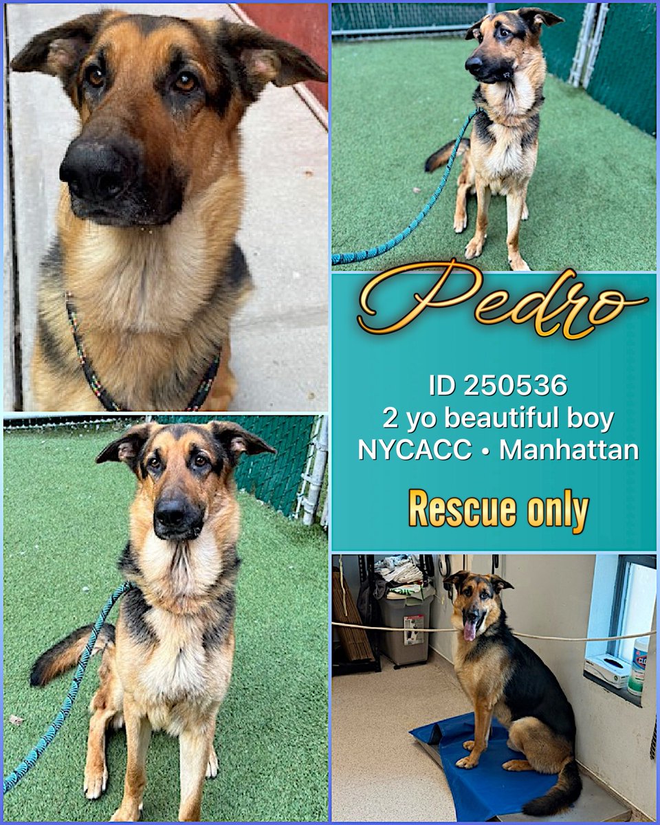 Malimum 🇩🇪 tweet media