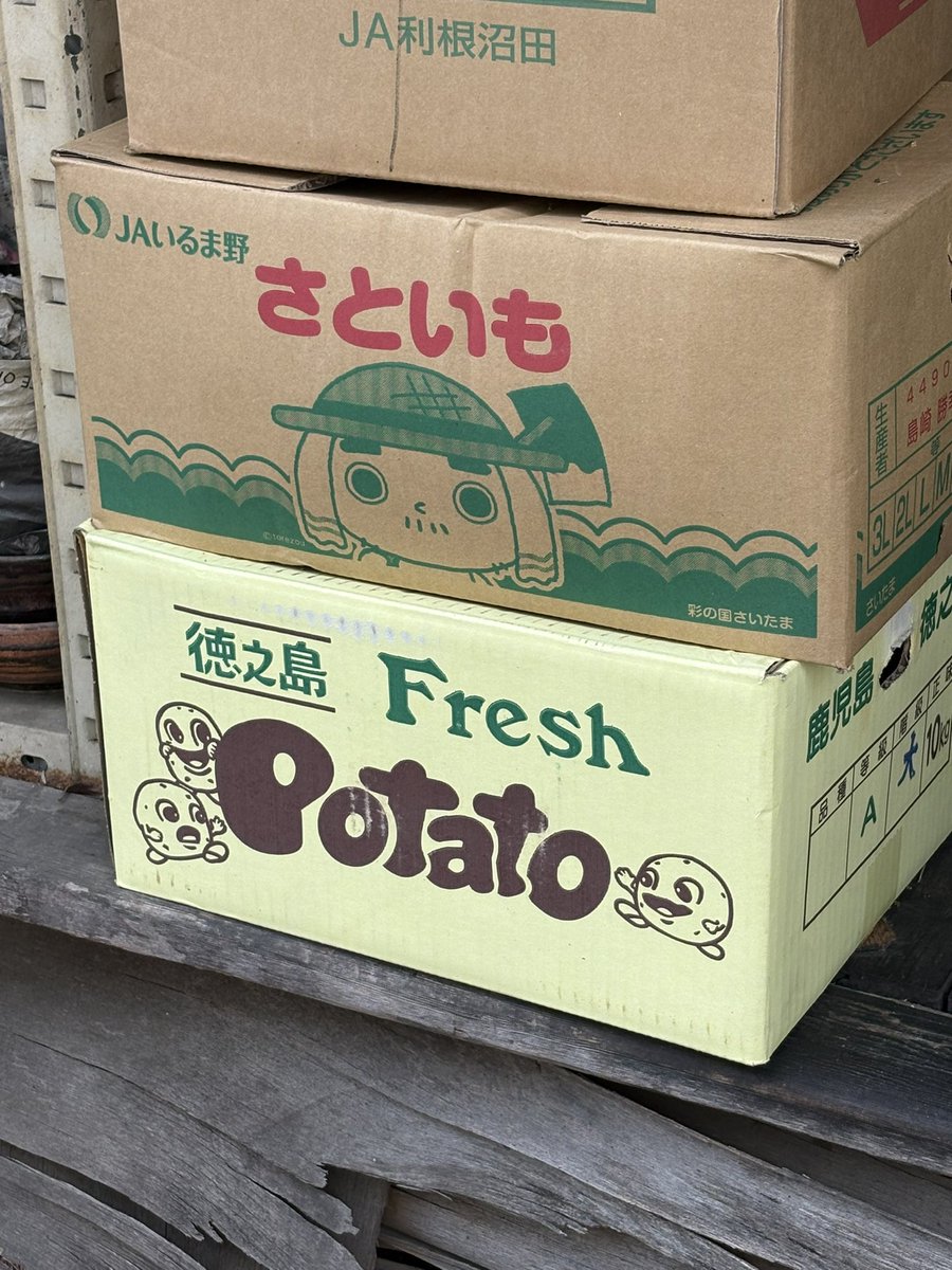 むらコバ🍉 tweet media